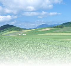 澄んだ空気と水にめぐまれた大衡村